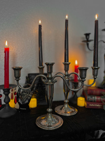 Pair of Silver Candelabras
